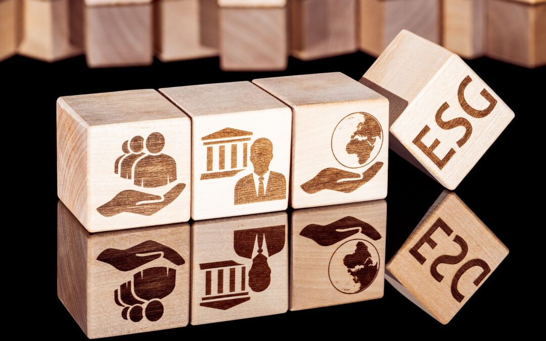 „Változz, hogy változtass!” – fenntarthatósági továbbképzés középiskolai tanároknak, oktatóknak